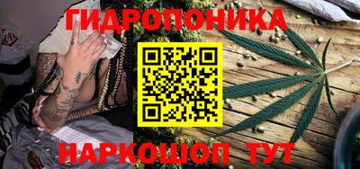 стаф Славгород