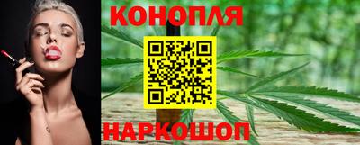 стаф Славгород