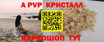 стаф Славгород