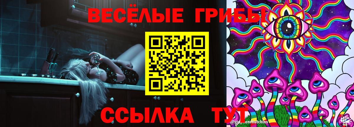 Галлюциногенные грибы GOLDEN TEACHER  Вход с VPN  Сатка 