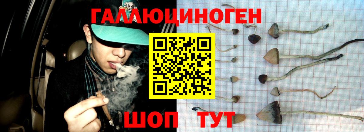 Псилоцибиновые грибы ЛСД Сатка